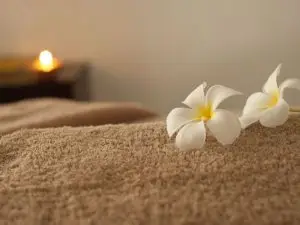 spa, spa beograd,, spa dan
